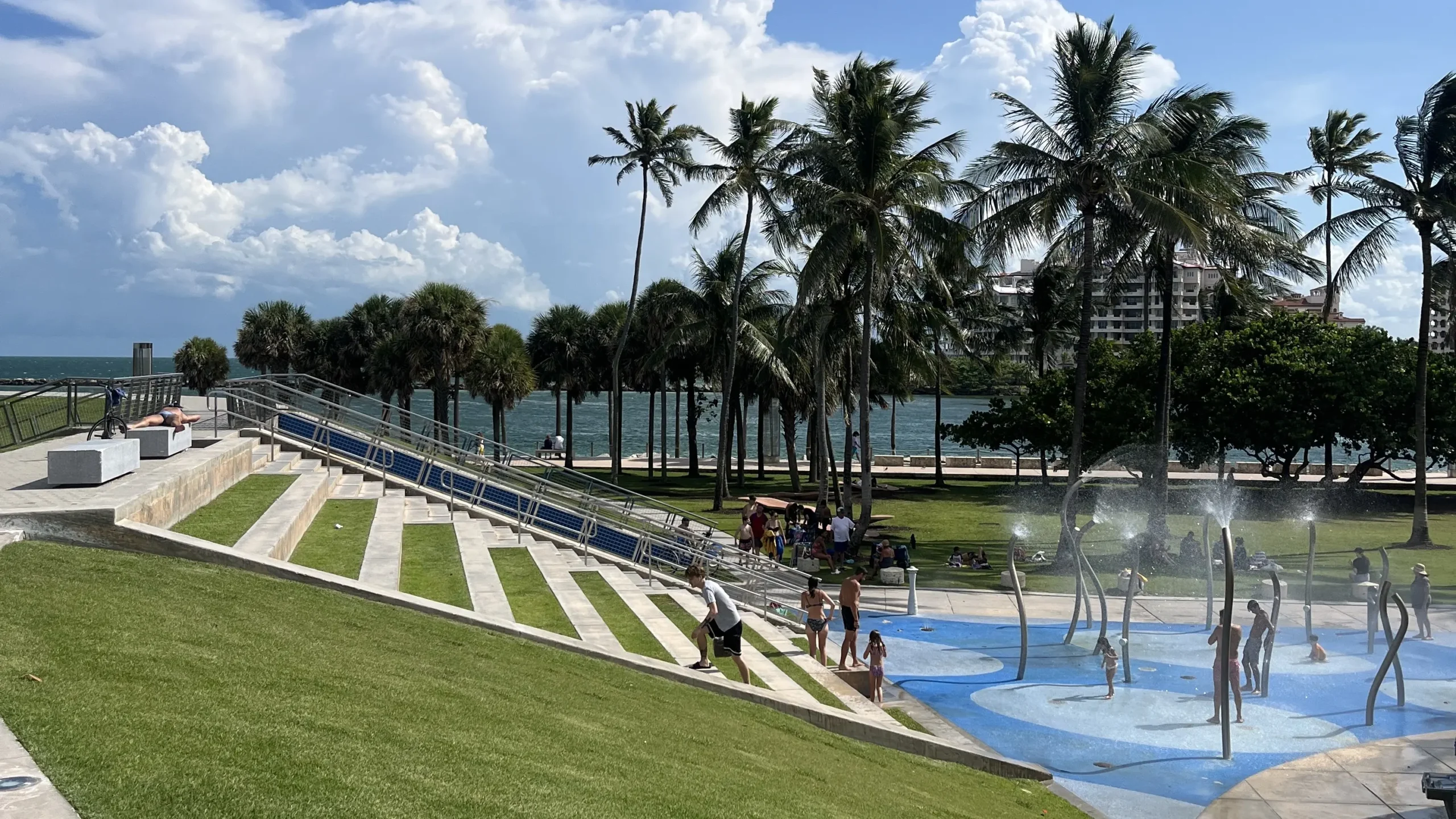 Lawn space with palm trees in South Pointe Park