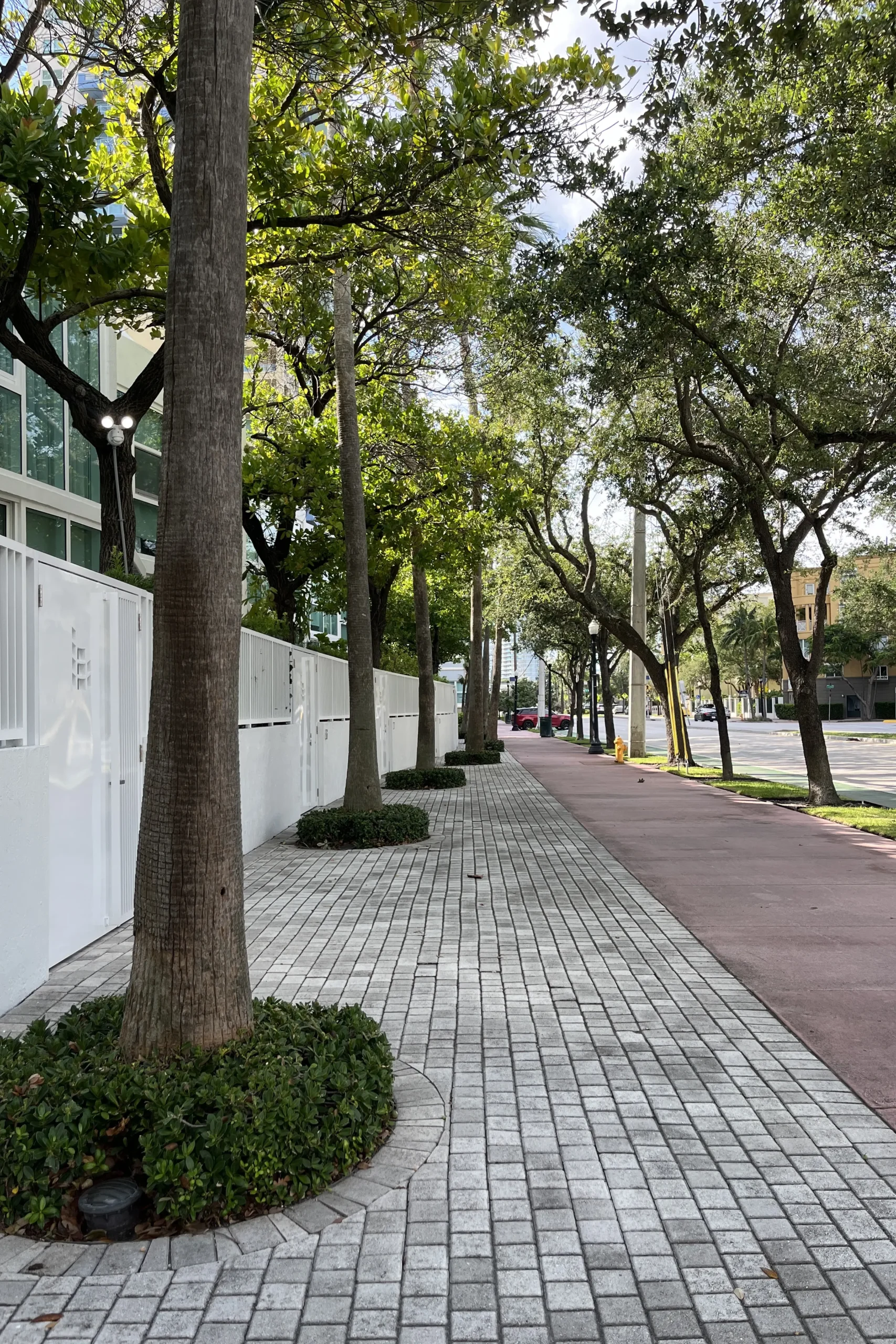 Brick path through shaded garden in South Pointe