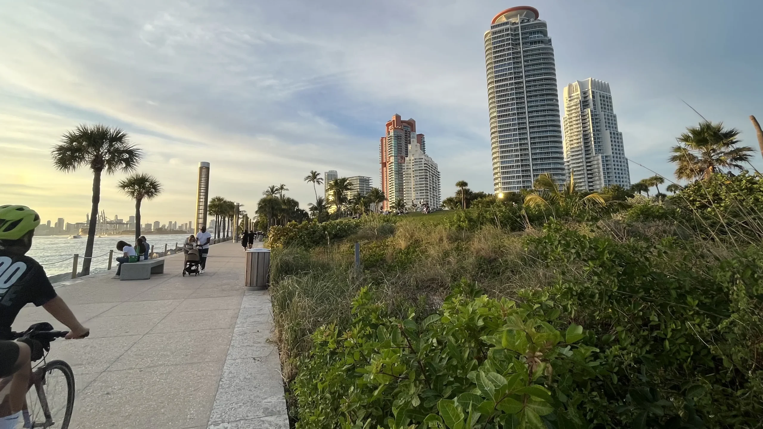 Green space with view of South Beach skyline